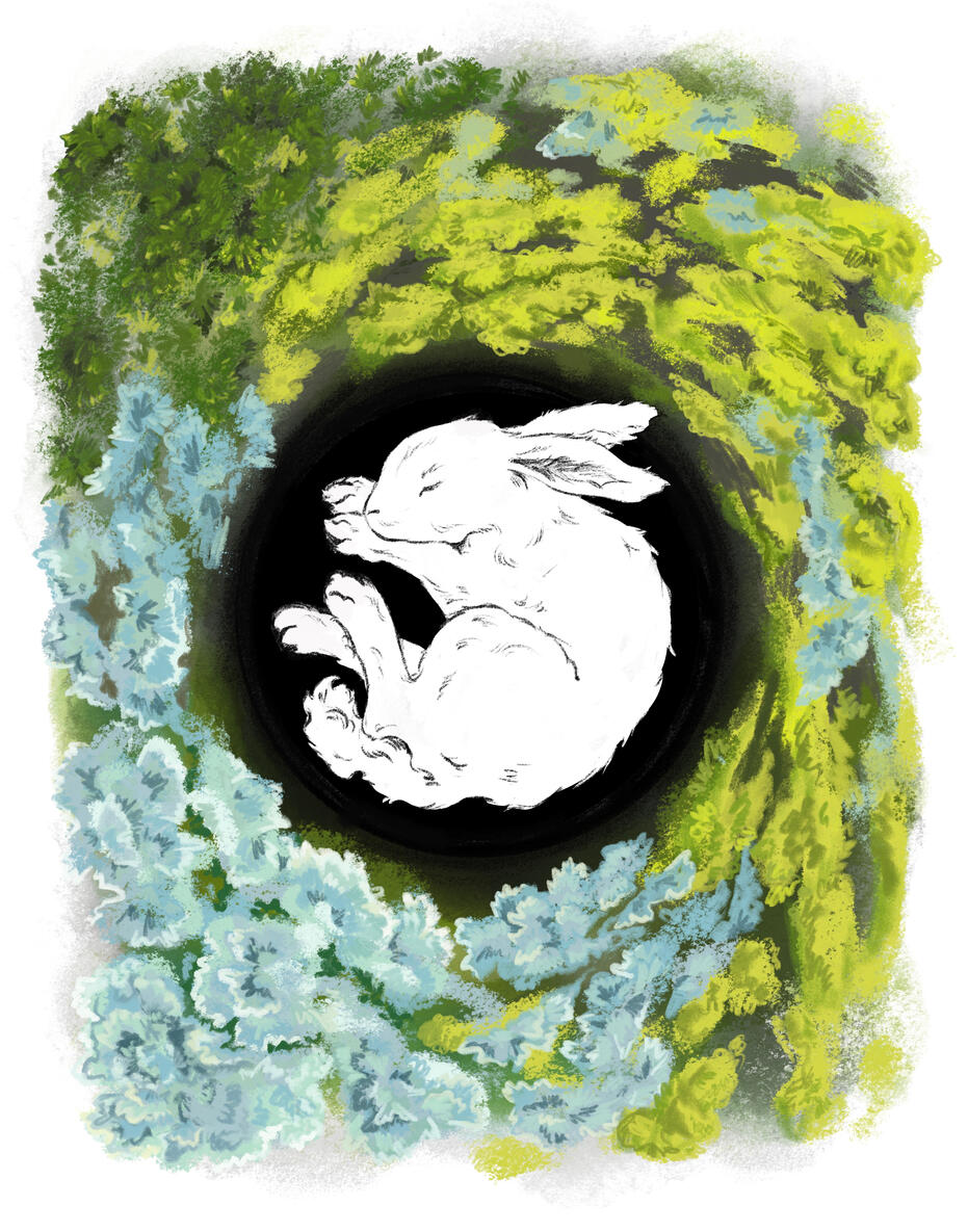 Mossy Slumber