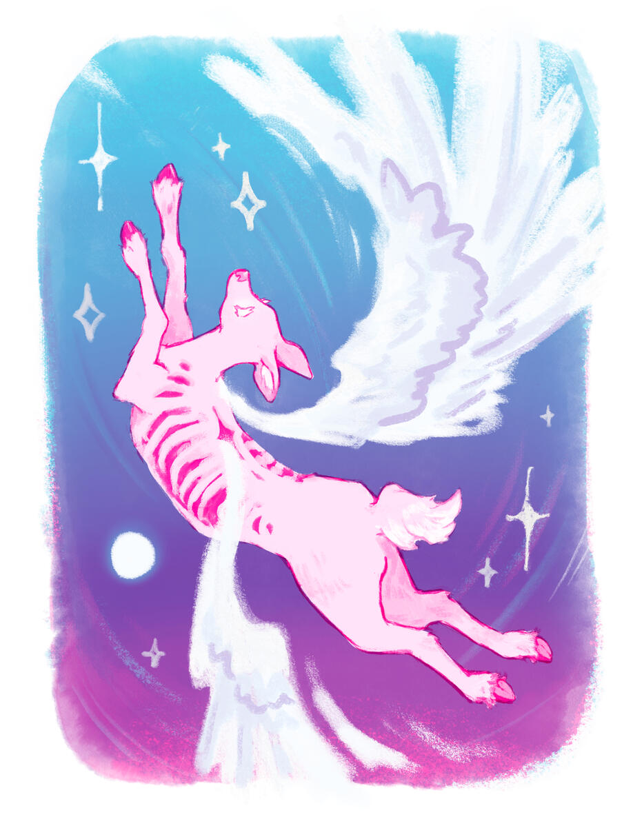 Ascent