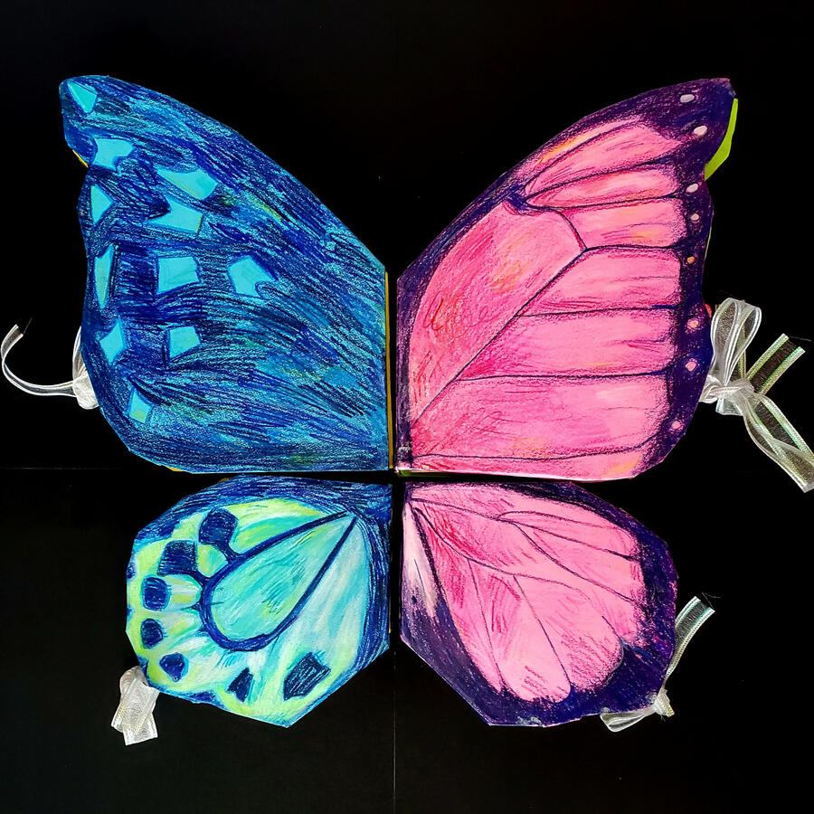 Butterfly Book